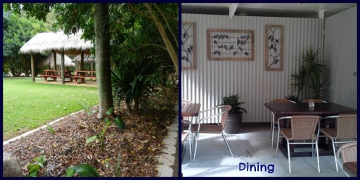 PicMonkey Collage2.jpg