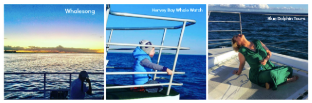 Screen Shot 2018-02-18 at 11.08.50